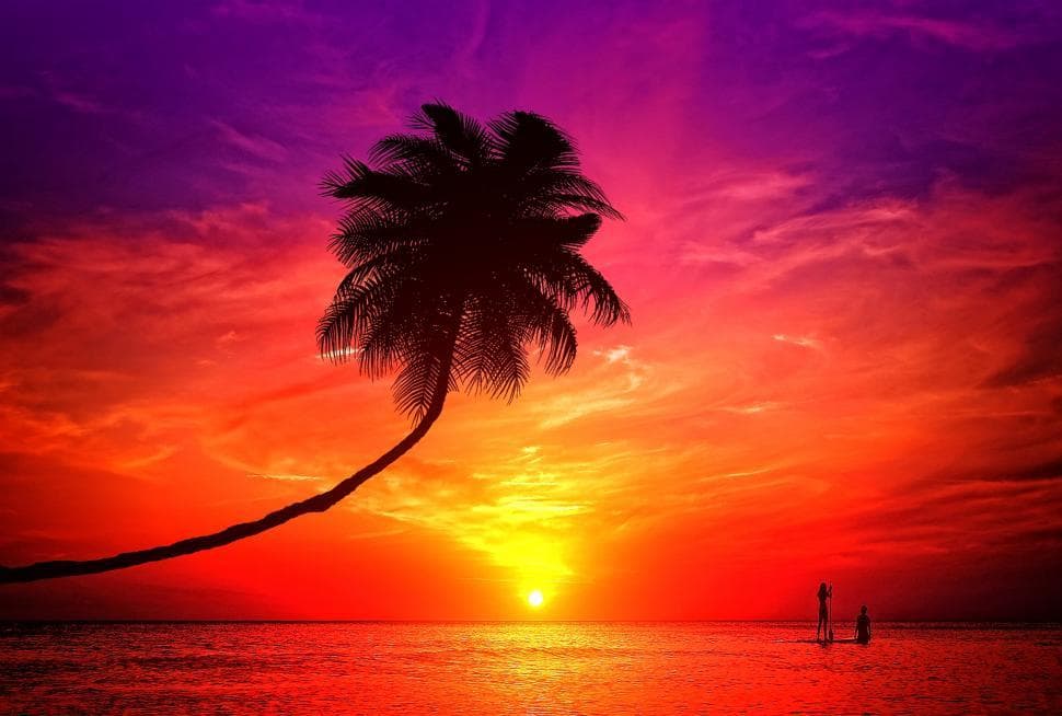 Travel & Vacation